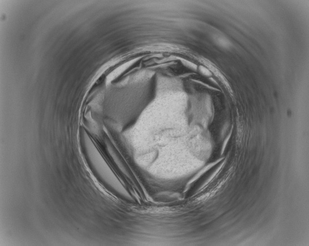 X0000081580845200702051237