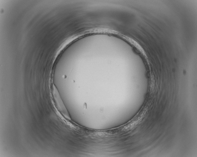 X0000081580847200702051237