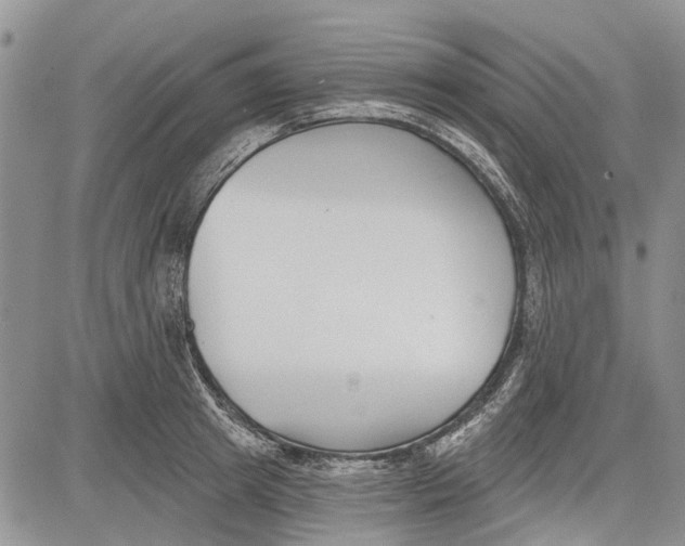 X0000081580849200702051237