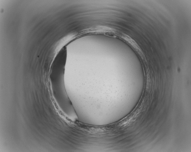 X0000081580850200702051237