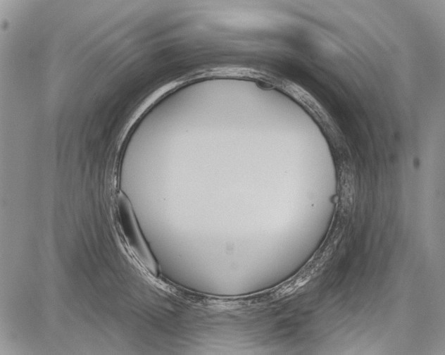 X0000081580852200702051237