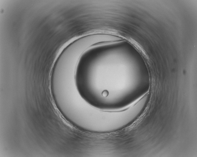 X0000081580854200702051237