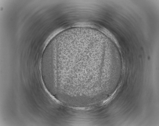 X0000081580855200702051237