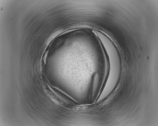 X0000081580858200702051237