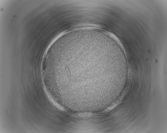 X0000081580859200702051237