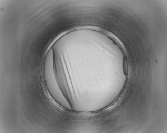 X0000081580860200702051237