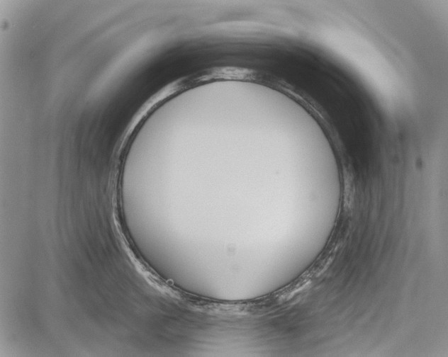 X0000081580861200702051237