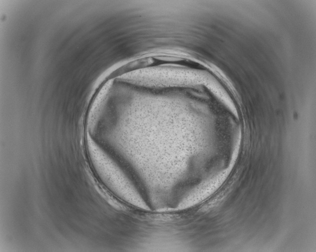 X0000081580862200702051237