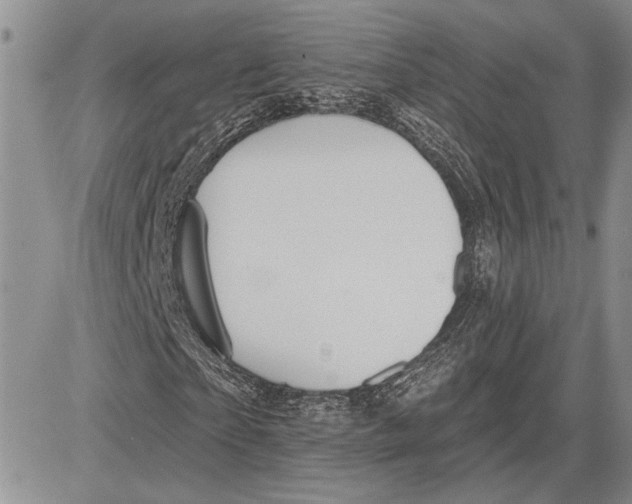 X0000081580865200702051237