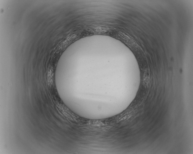 X0000081580866200702051237