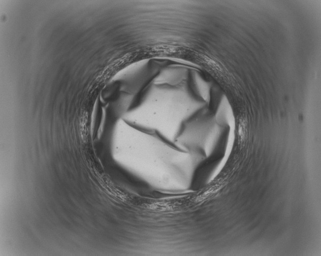 X0000081580867200702051237