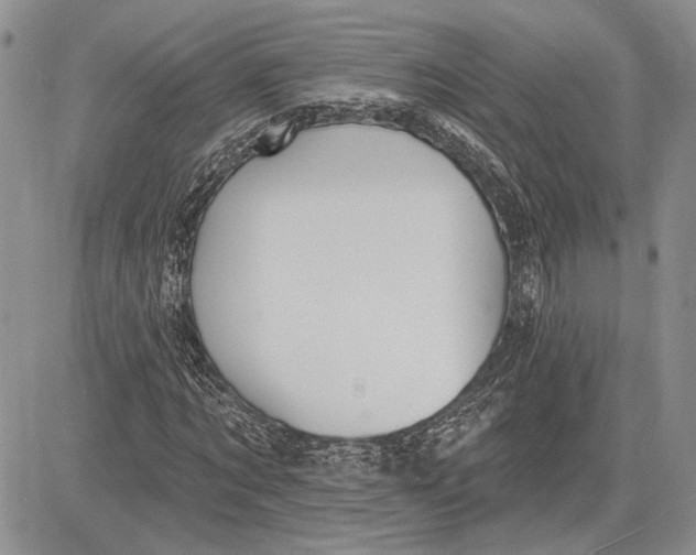 X0000081580869200702051237