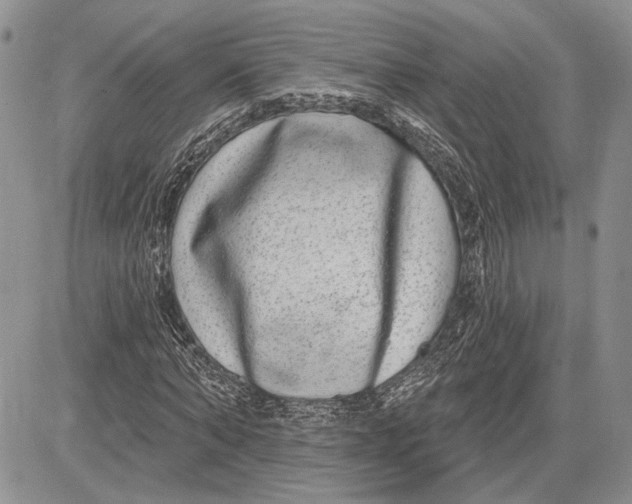 X0000081580870200702051237