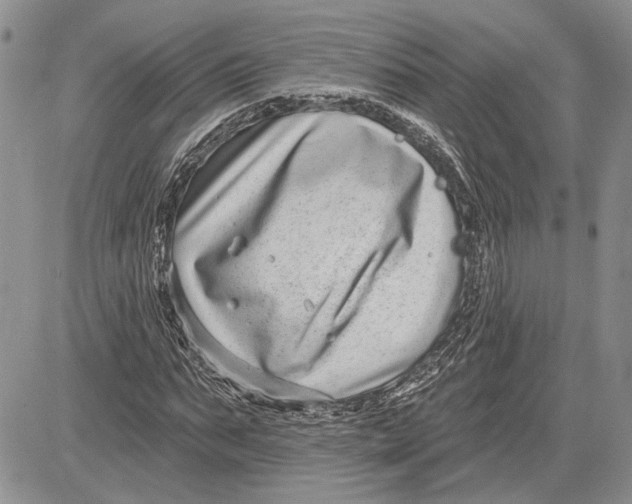 X0000081580871200702051237