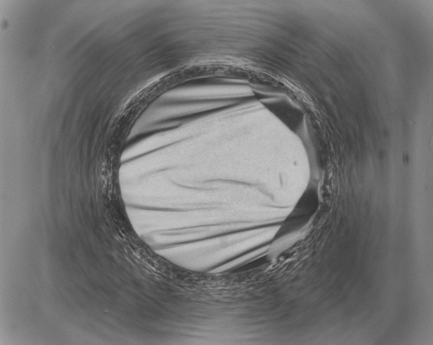 X0000081580872200702051237