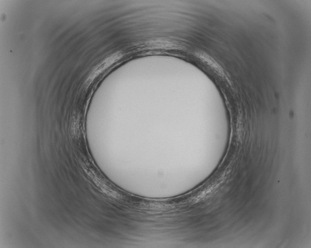 X0000081580873200702051236