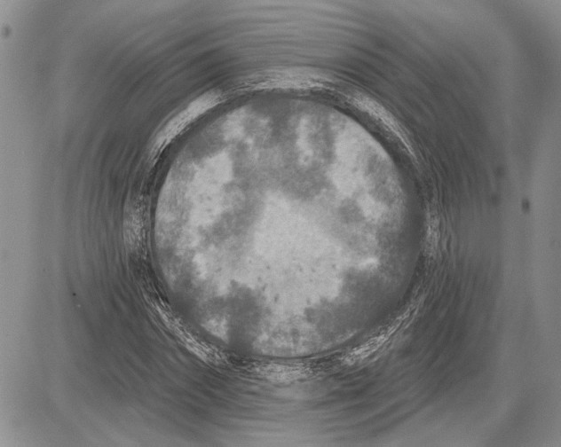 X0000081580874200702051236