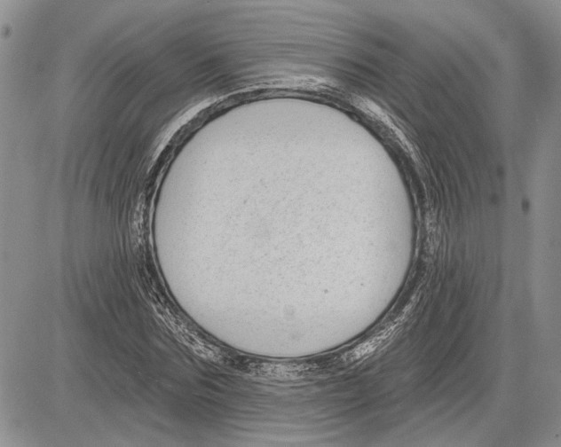 X0000081580875200702051236