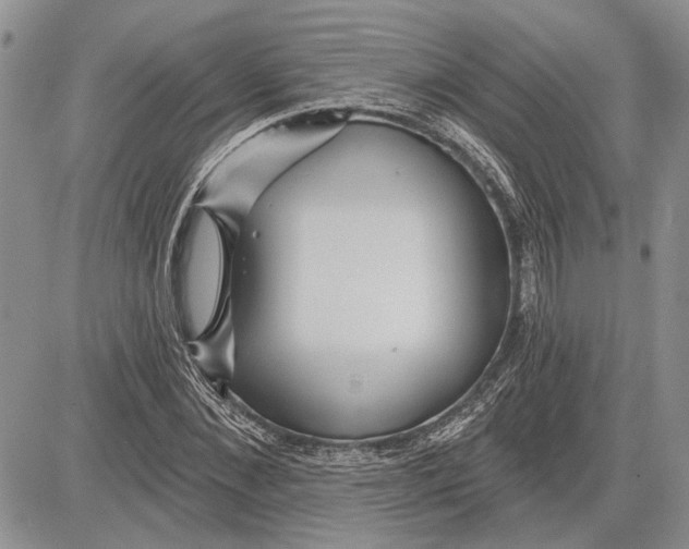 X0000081580876200702051236