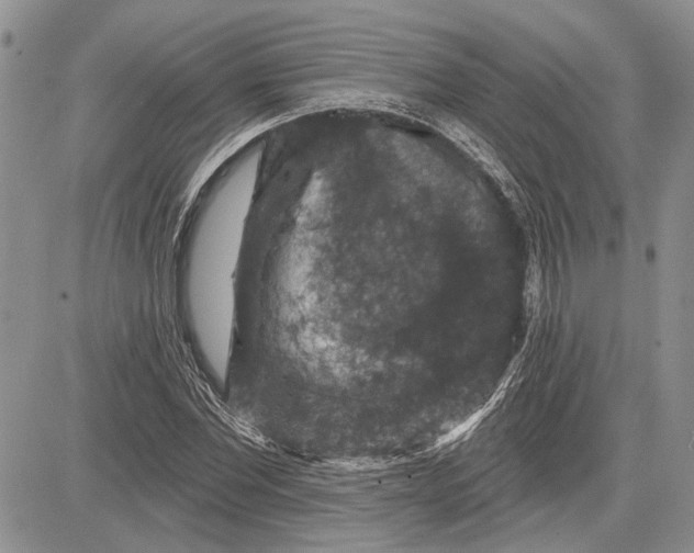 X0000081580877200702051236