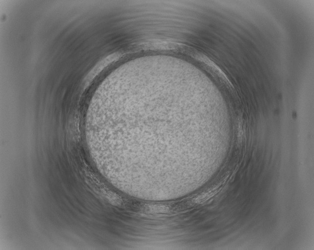 X0000081580878200702051236