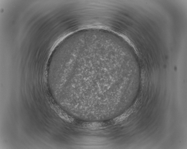 X0000081580879200702051236