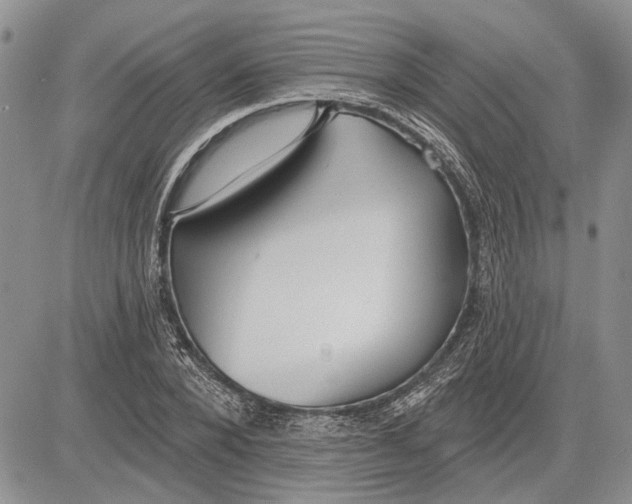 X0000081580880200702051236