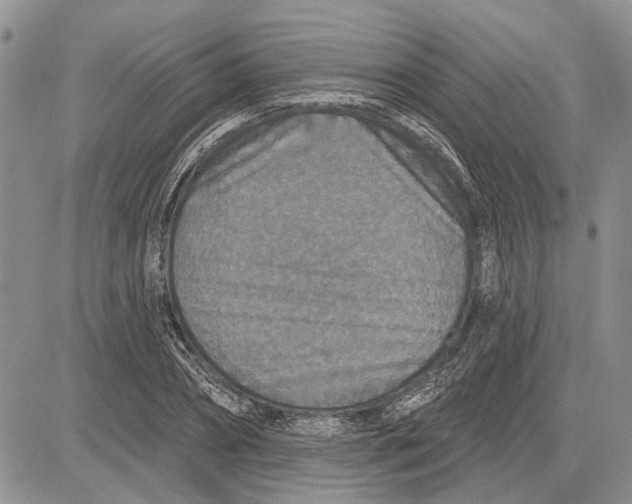 X0000081580882200702051236