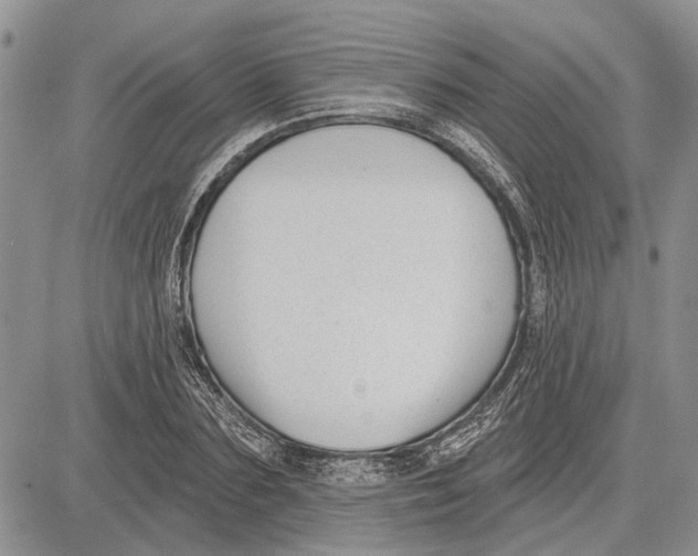 X0000081580883200702051236