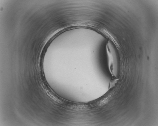 X0000081580884200702051236