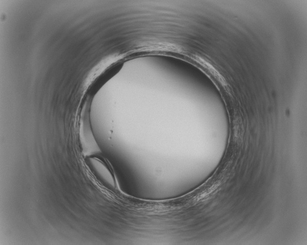 X0000081580885200702051236