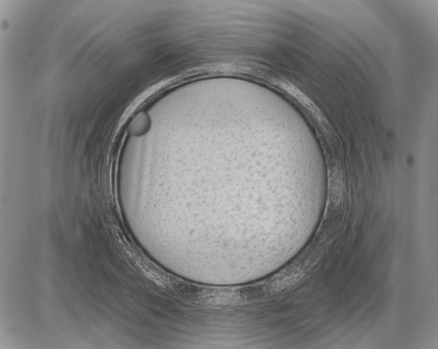 X0000081580886200702051236