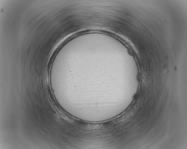 X0000081580887200702051236