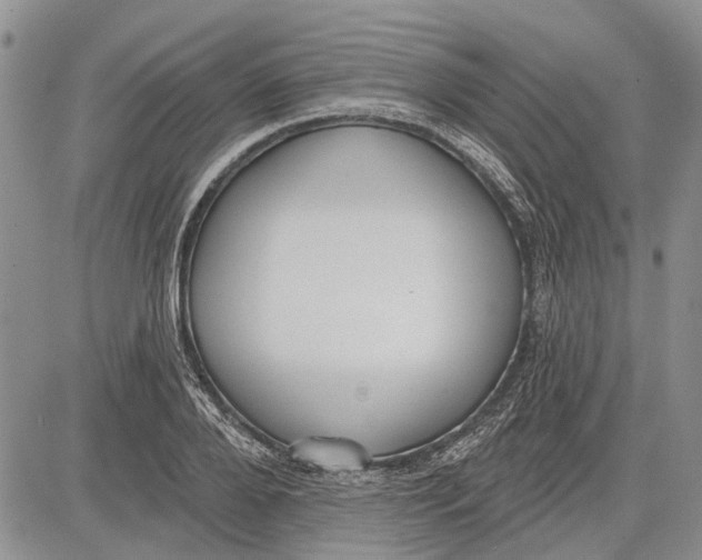 X0000081580888200702051236