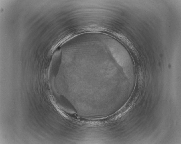 X0000081580889200702051236