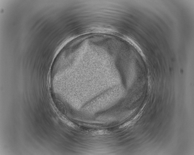 X0000081580891200702051236