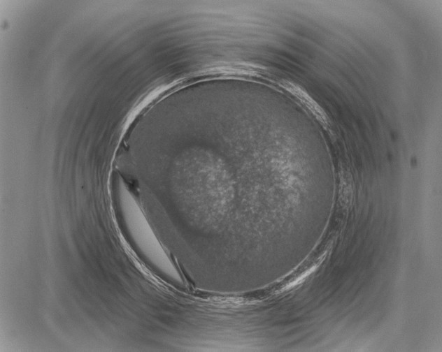 X0000081580893200702051236