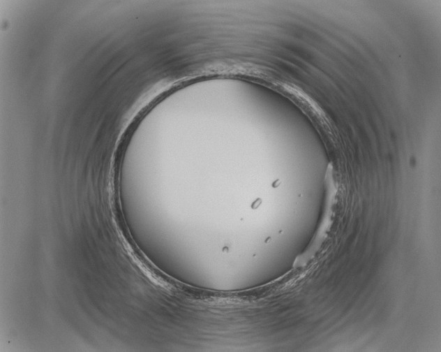 X0000081580894200702051236