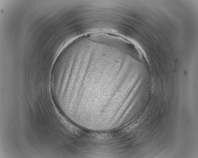 X0000081580895200702051236