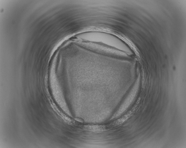 X0000081580896200702051236