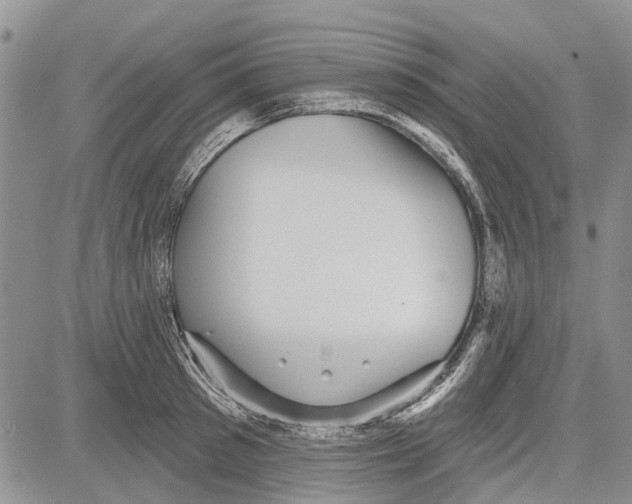 X0000081580897200702051236