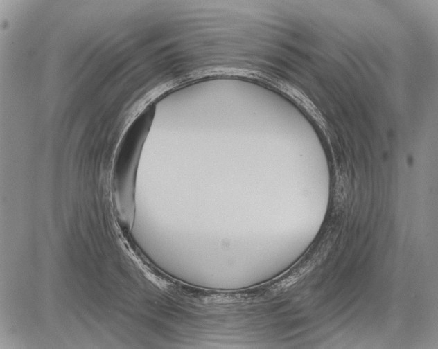 X0000081580898200702051236