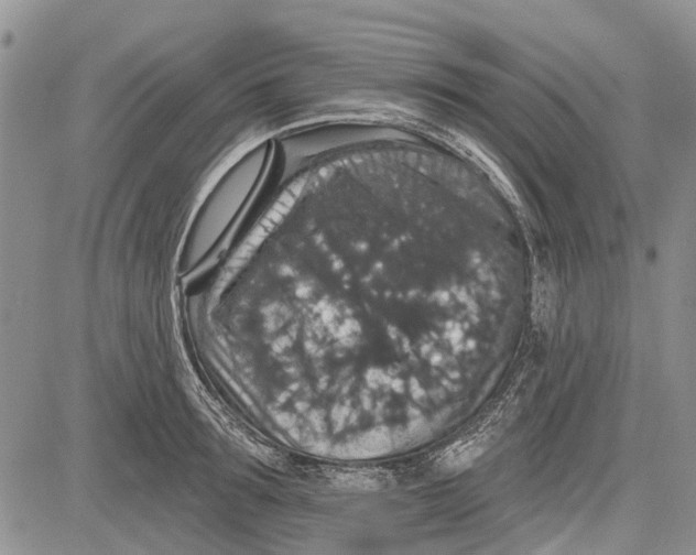 X0000081580899200702051236