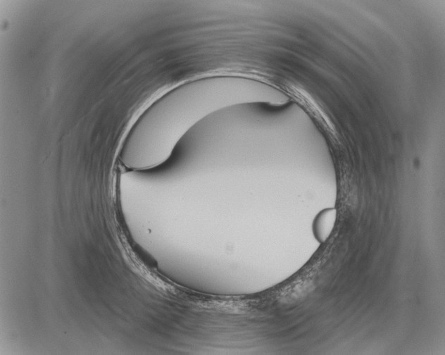 X0000081580900200702051236