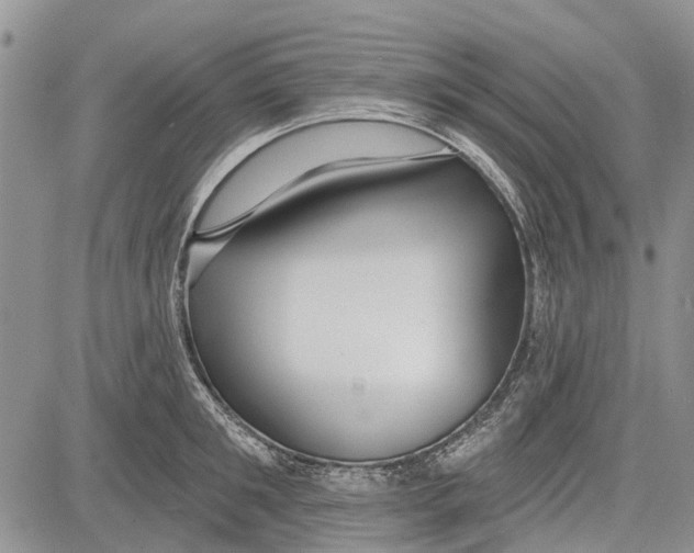 X0000081580901200702051236