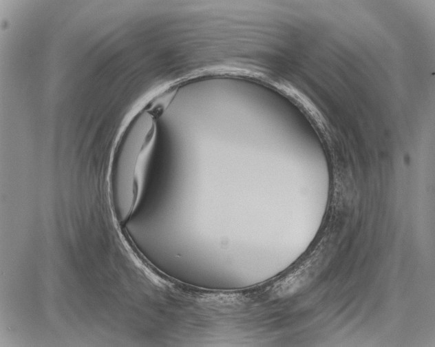 X0000081580902200702051236