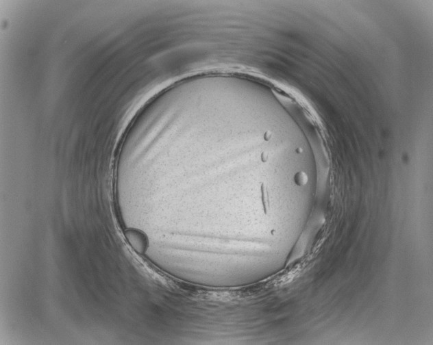 X0000081580903200702051236