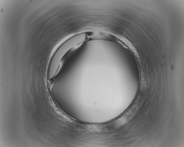 X0000081580904200702051236