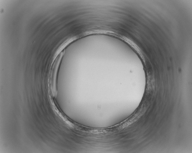 X0000081580906200702051236