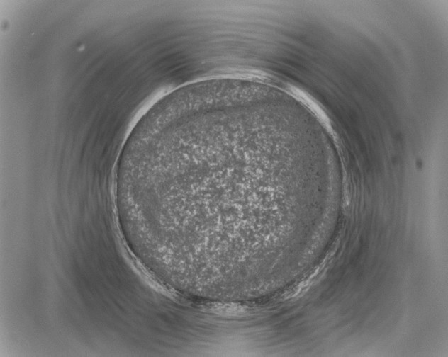 X0000081580907200702051236